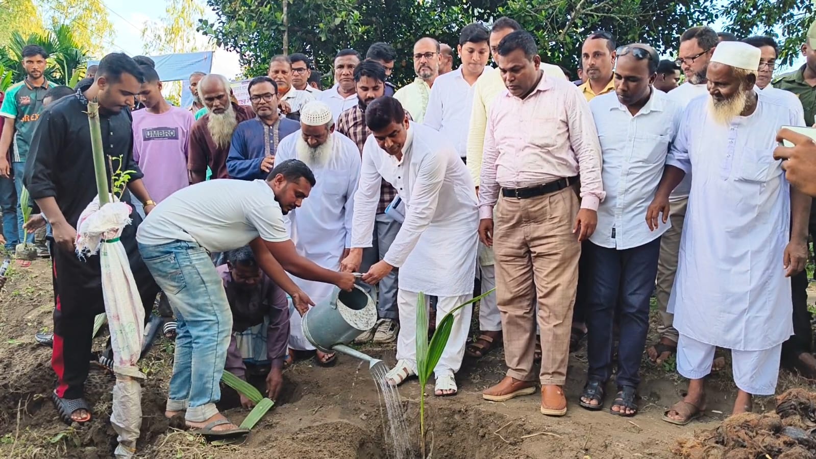 বজ্রপাত মোকাবিলা ও সবুজায়নে দেবীগঞ্জে ২ হাজার তালবীজ রোপণ